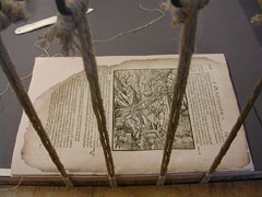 Dalmatin Biblia
